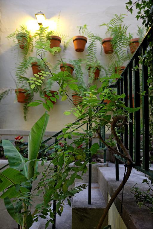 29 Madeira Hostel Funchal  Luaran gambar